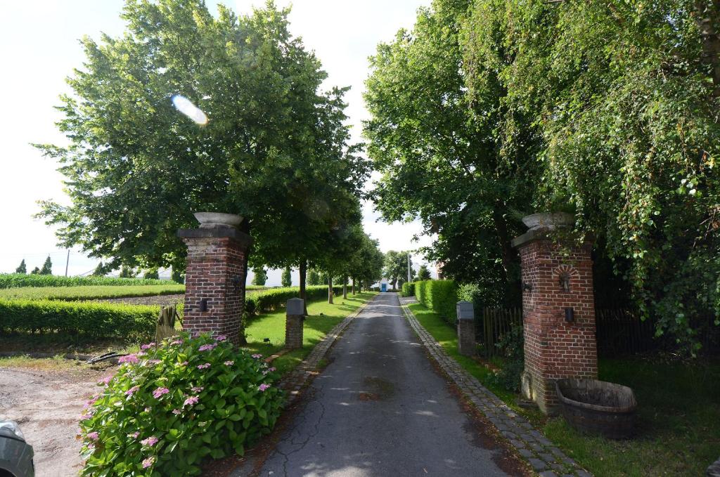 Het Elsland