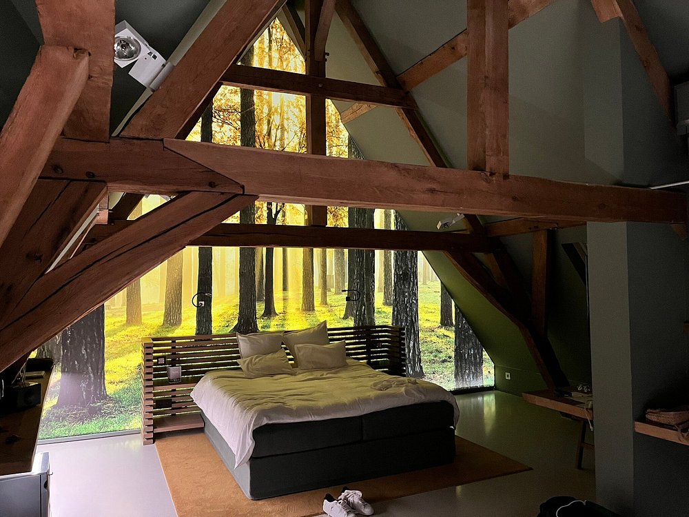 Gallery Image 6
