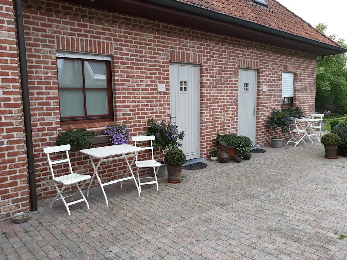 B&B Laurus