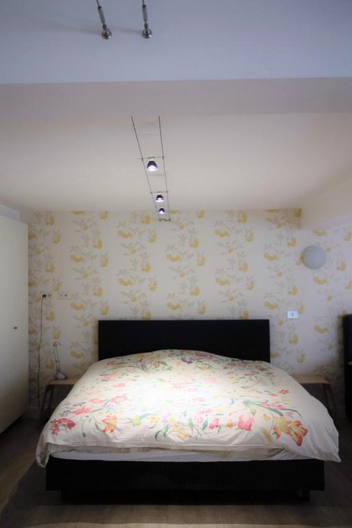 Gallery Image 6