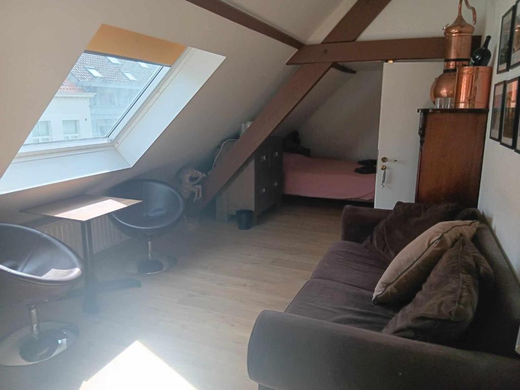 Gallery Image 5