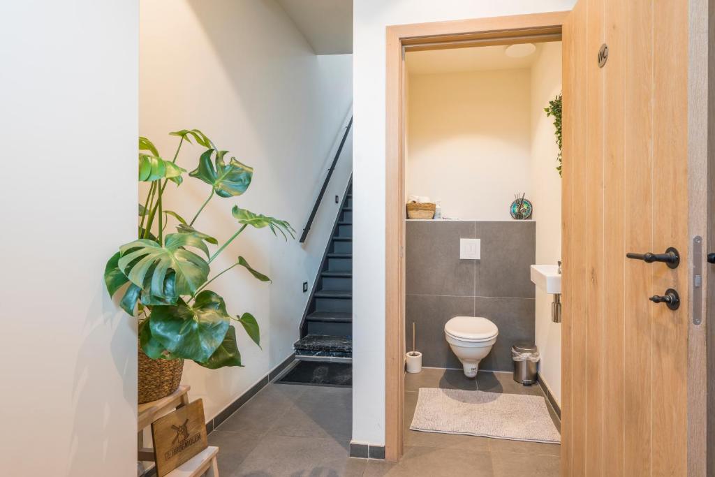 Gallery Image 7