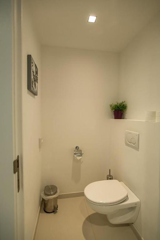 Gallery Image 12