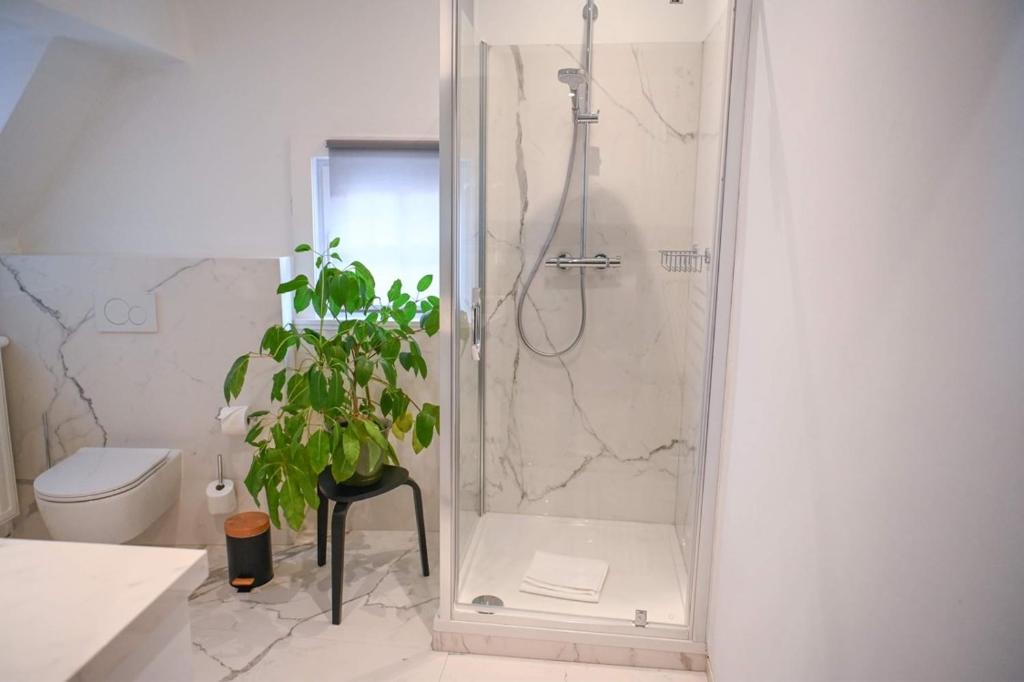Gallery Image 10