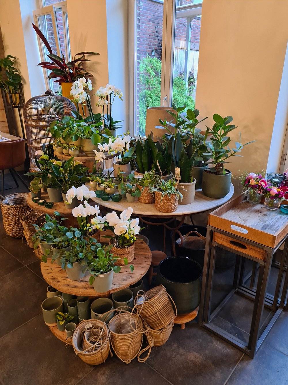 Gallery Image 4