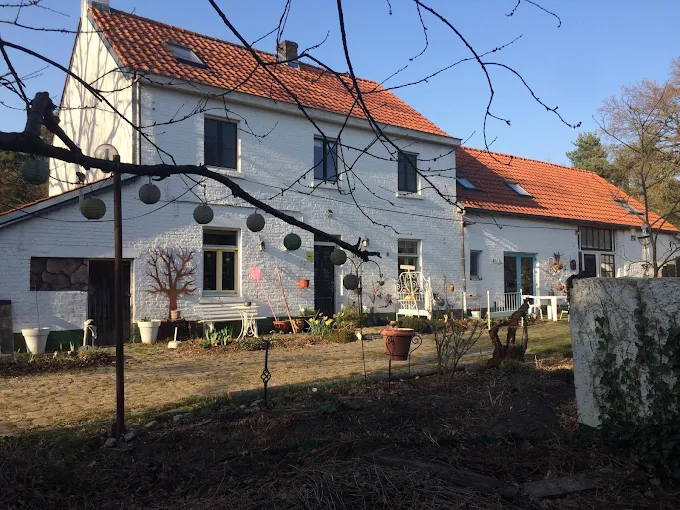 B&B Het vliegend varken