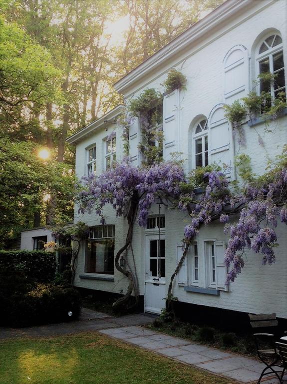 ’t Wit Huys Brugge