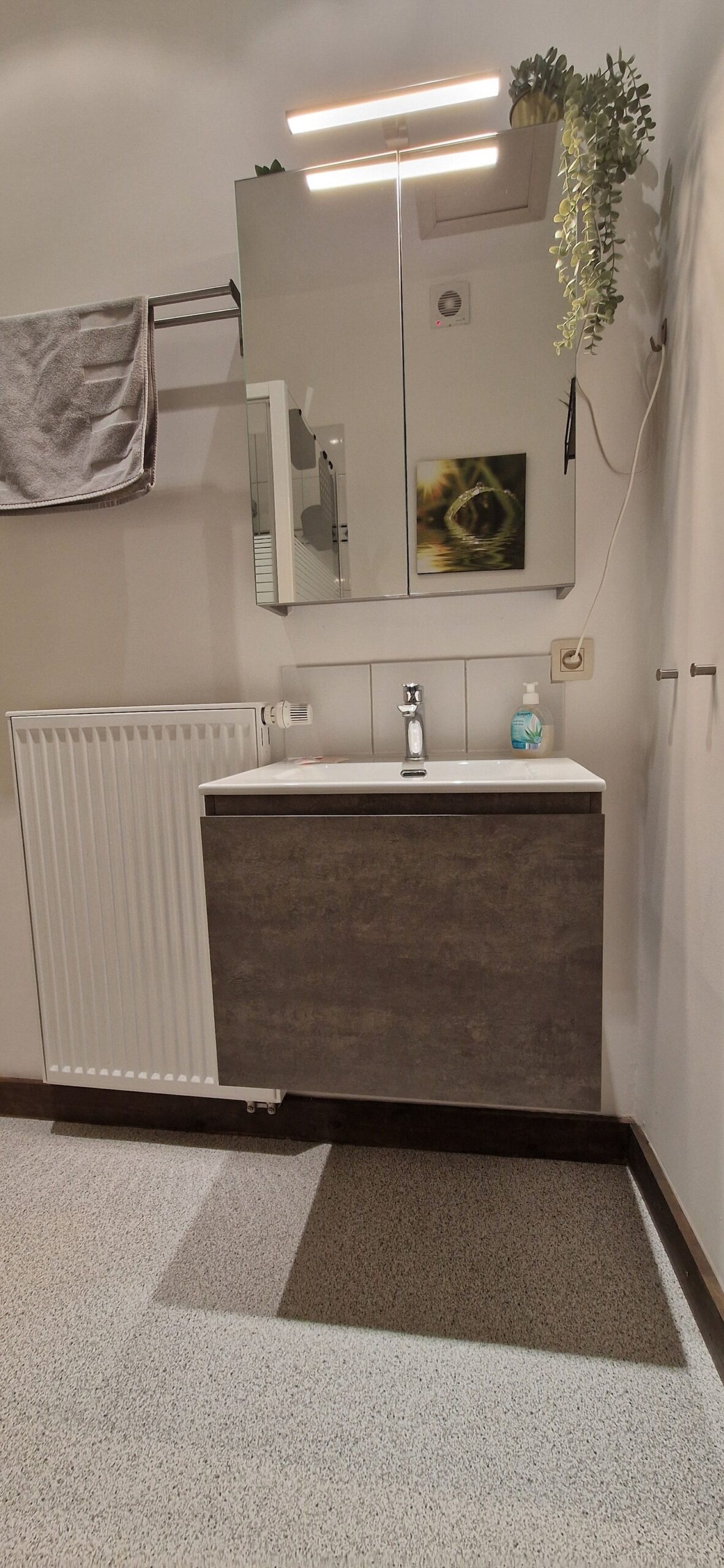 Gallery Image 8