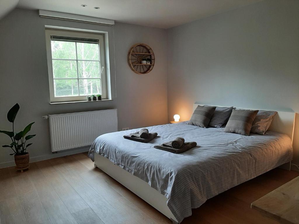 Gallery Image 6