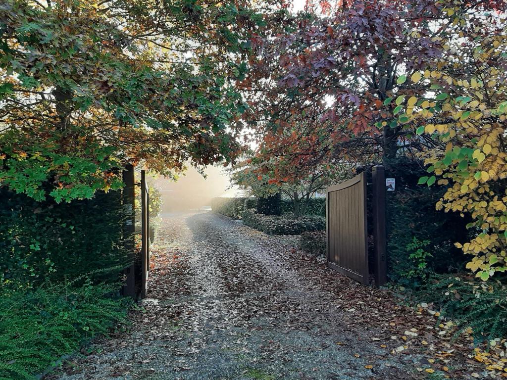 B&B De Levensboom