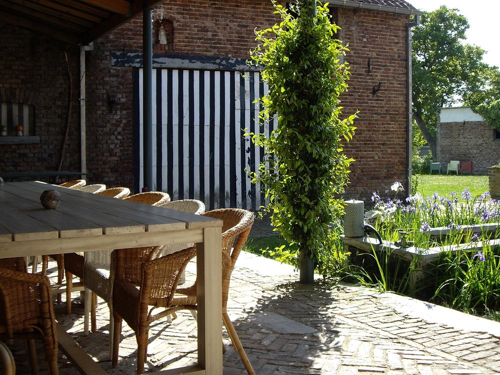 Gallery Image 6