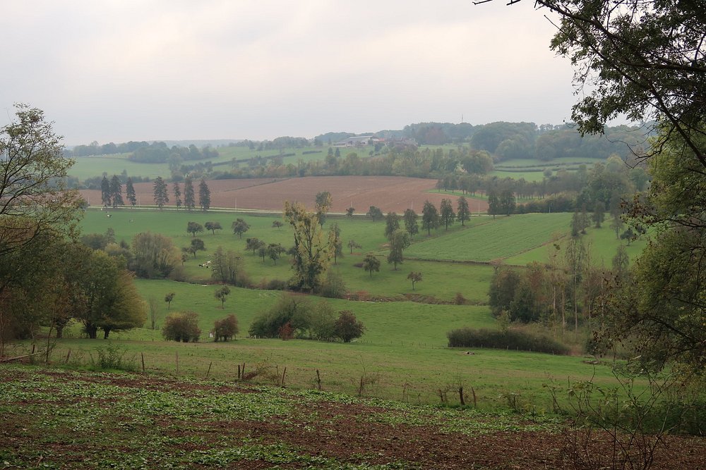 Gallery Image 14