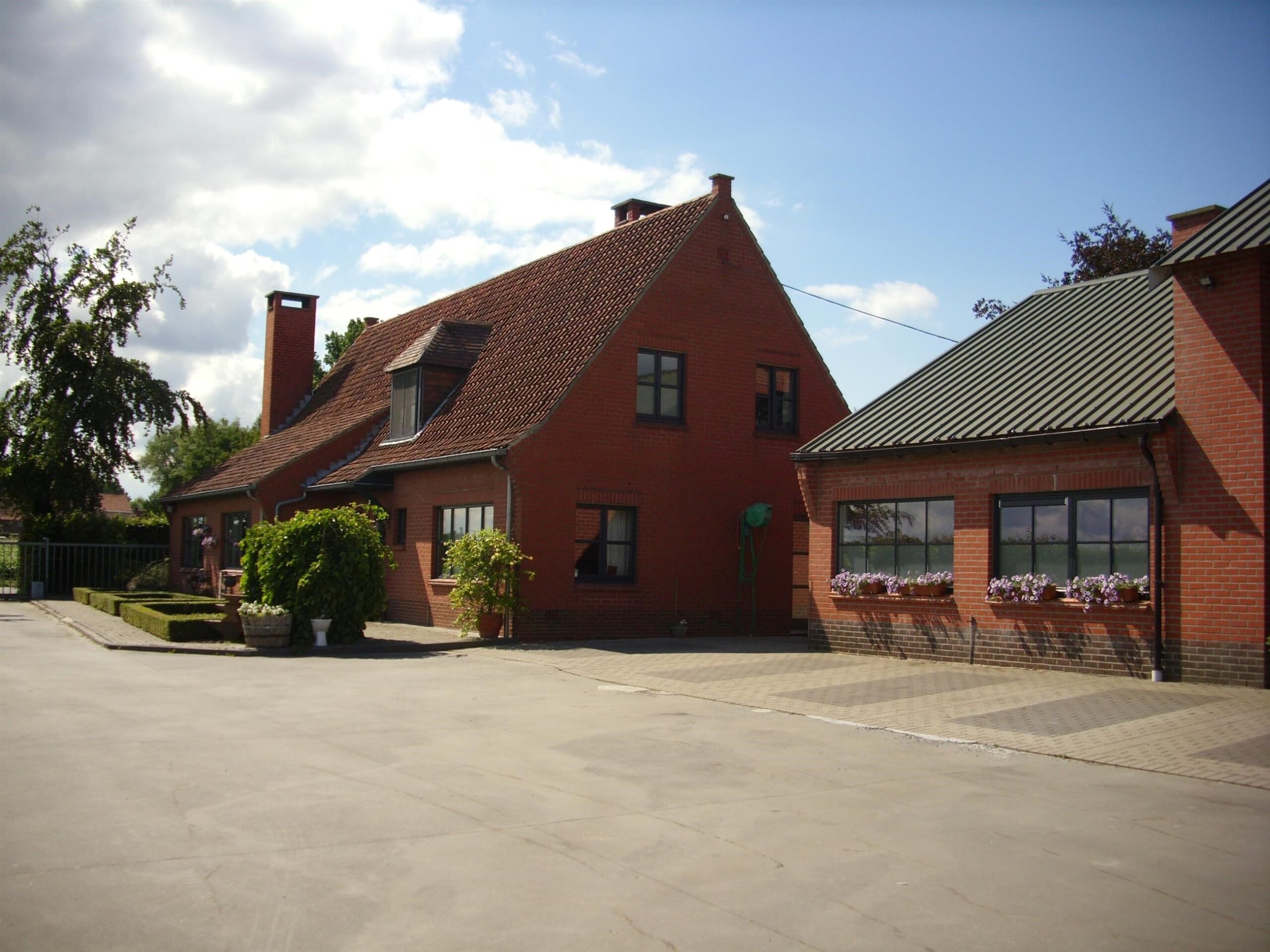 Chiconette