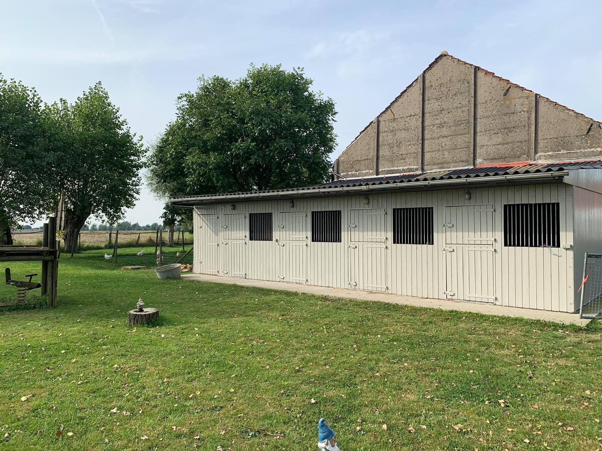 Gallery Image 14