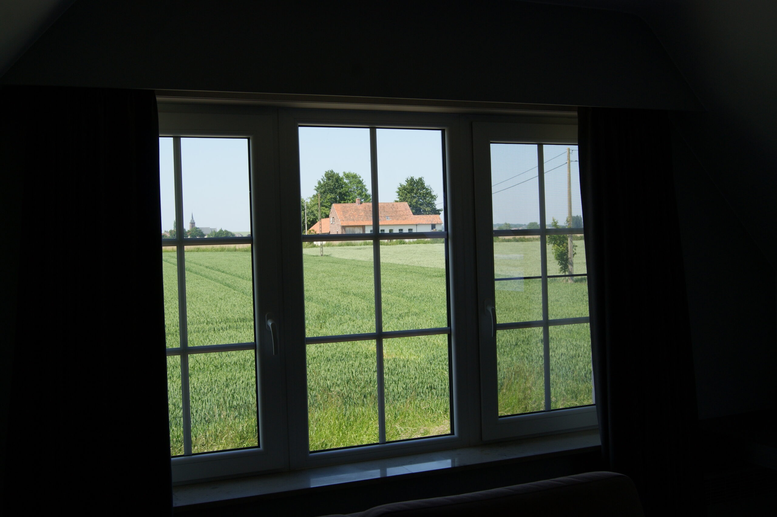 Gallery Image 7