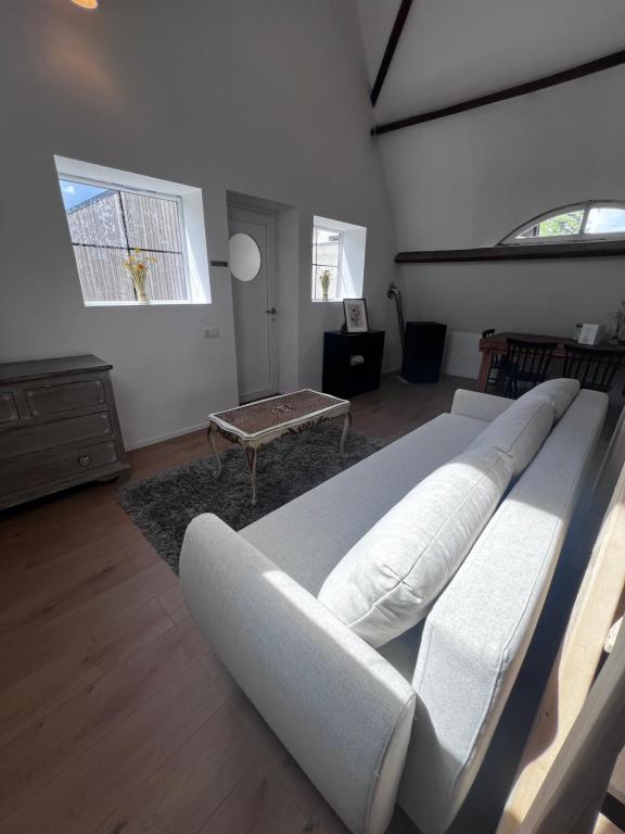 Gallery Image 7