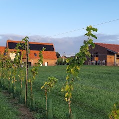 B&B De Zavelaar