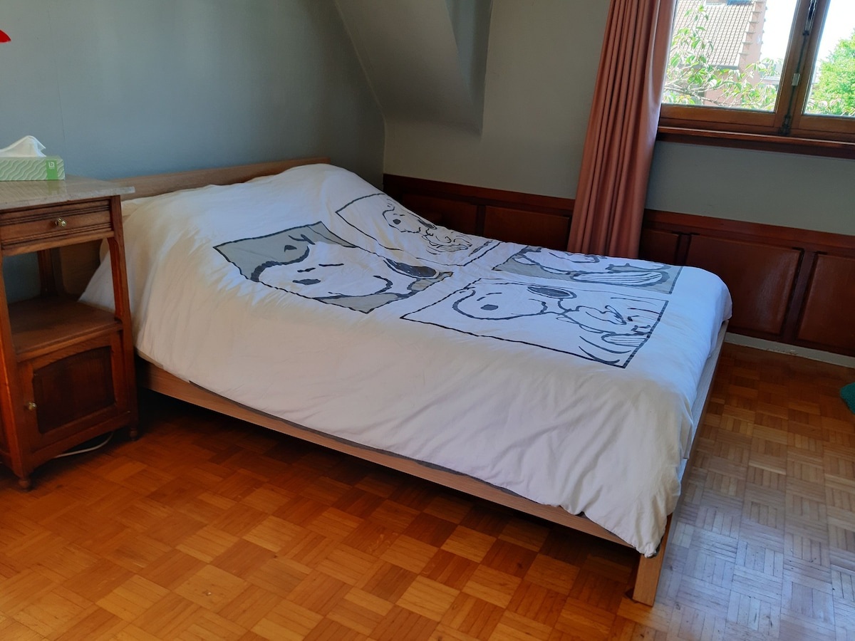 Gallery Image 5