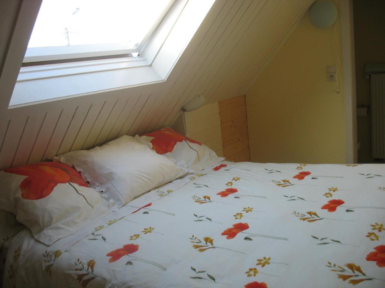 Gallery Image 9
