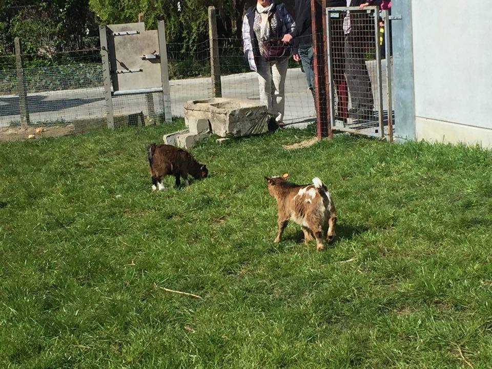 Gallery Image 12