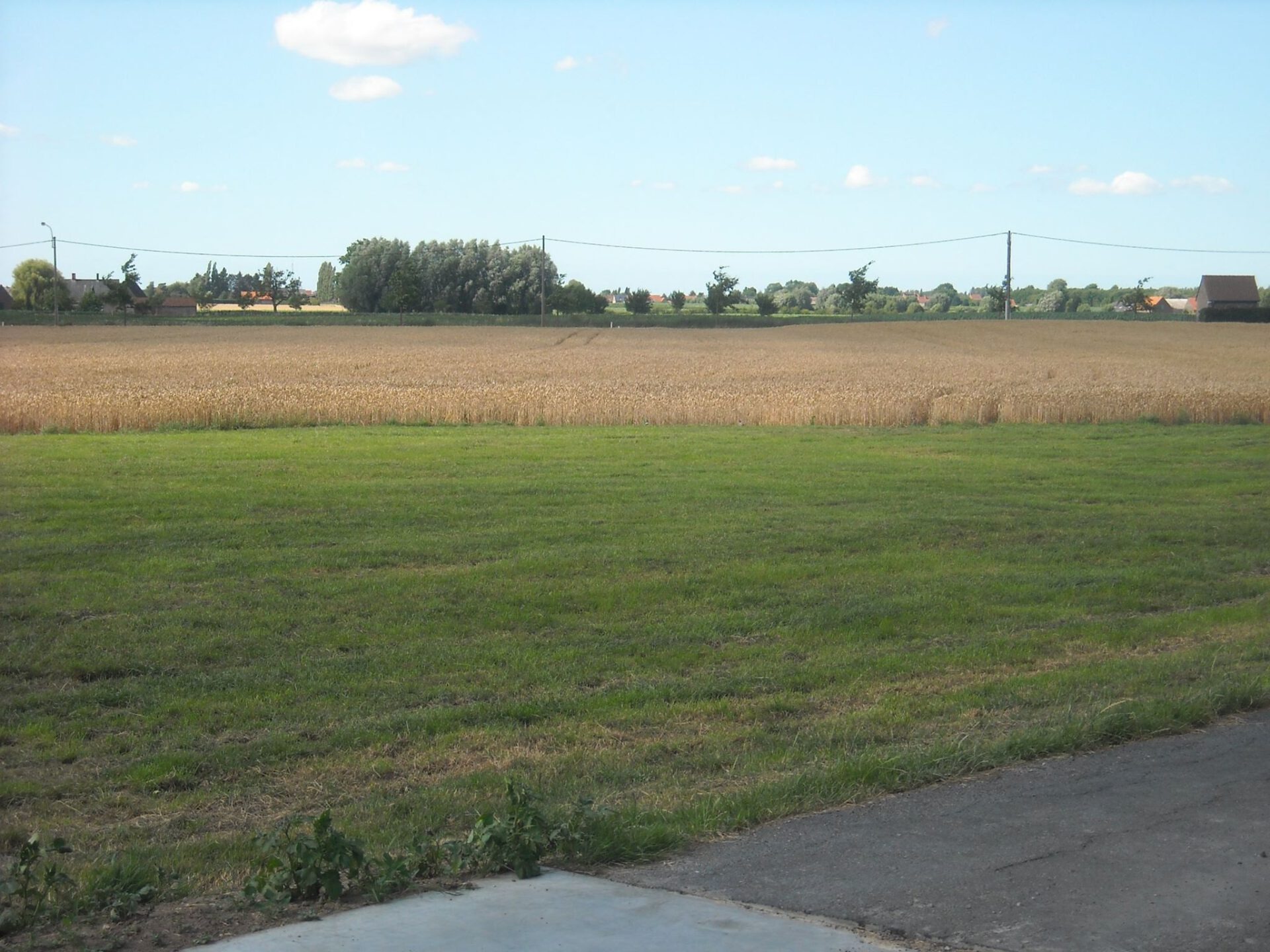 Gallery Image 14