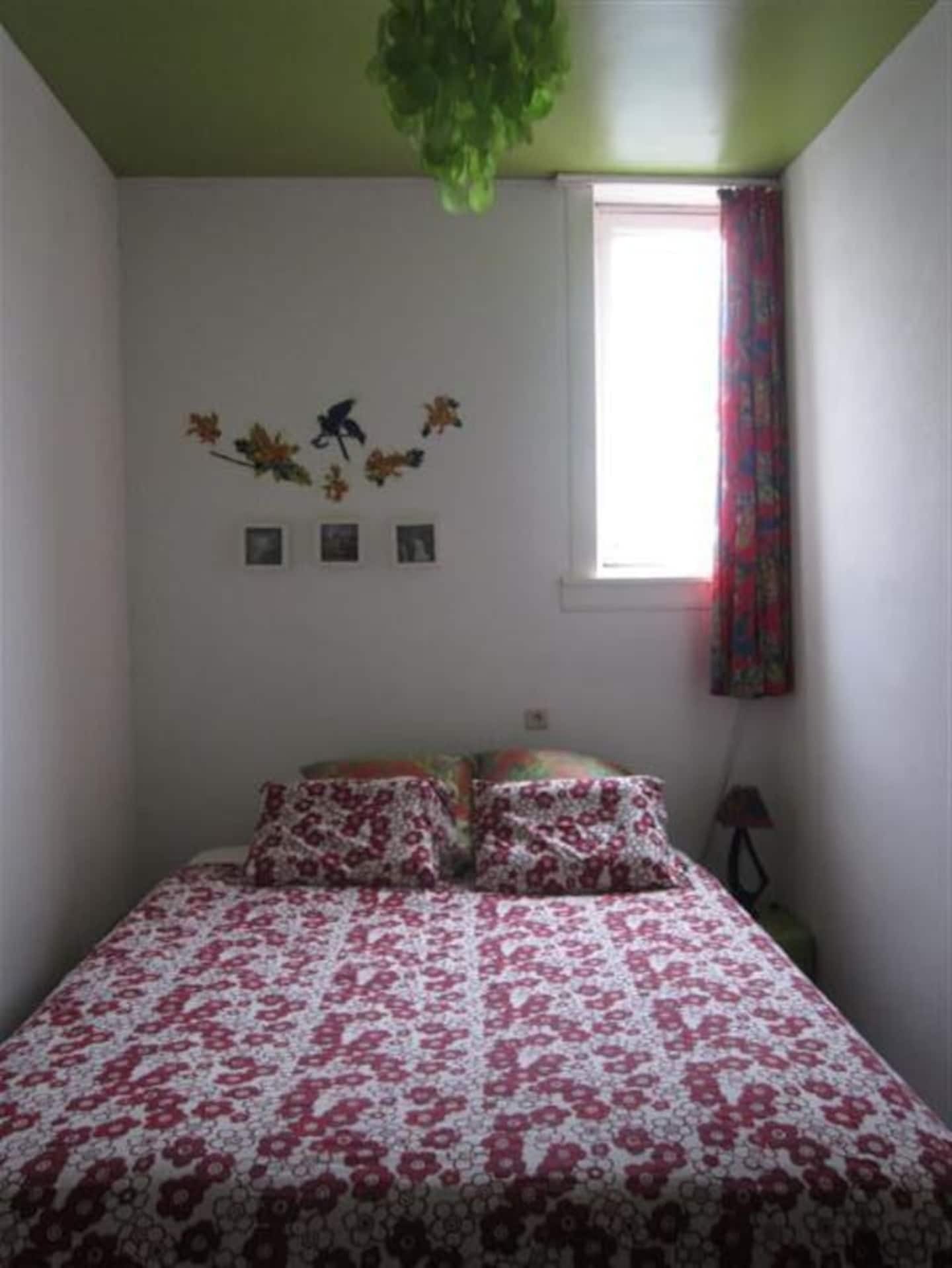 Gallery Image 8