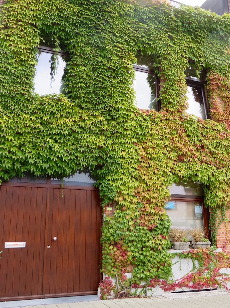 Bed & Breakfast Fiets en Slaap