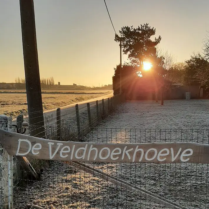 De Veldhoekhoeve