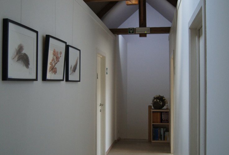 Gallery Image 6