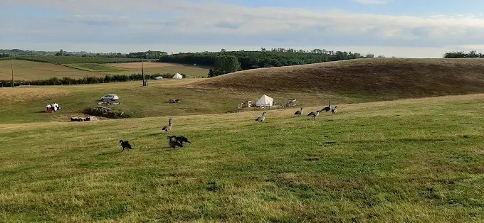 De Schaapsheuvel – Sheep Inn